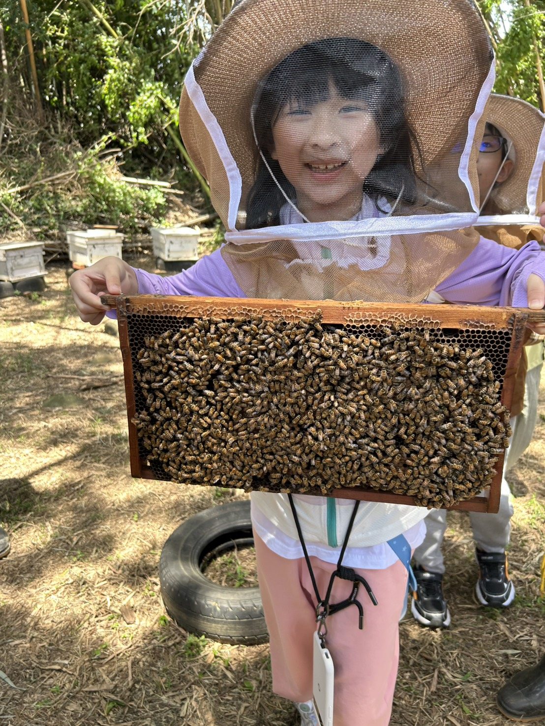 孩子近距離捧著蜂框觀察蜜蜂